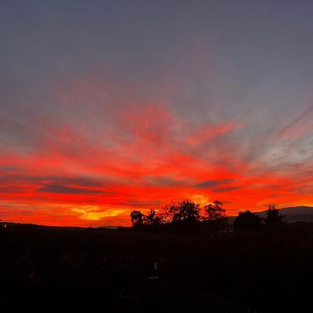 Fyrish View Apartment Dingwall Bagian luar foto